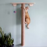 HOM Extra Long Wall mounted round cat scratching & climbing tree4