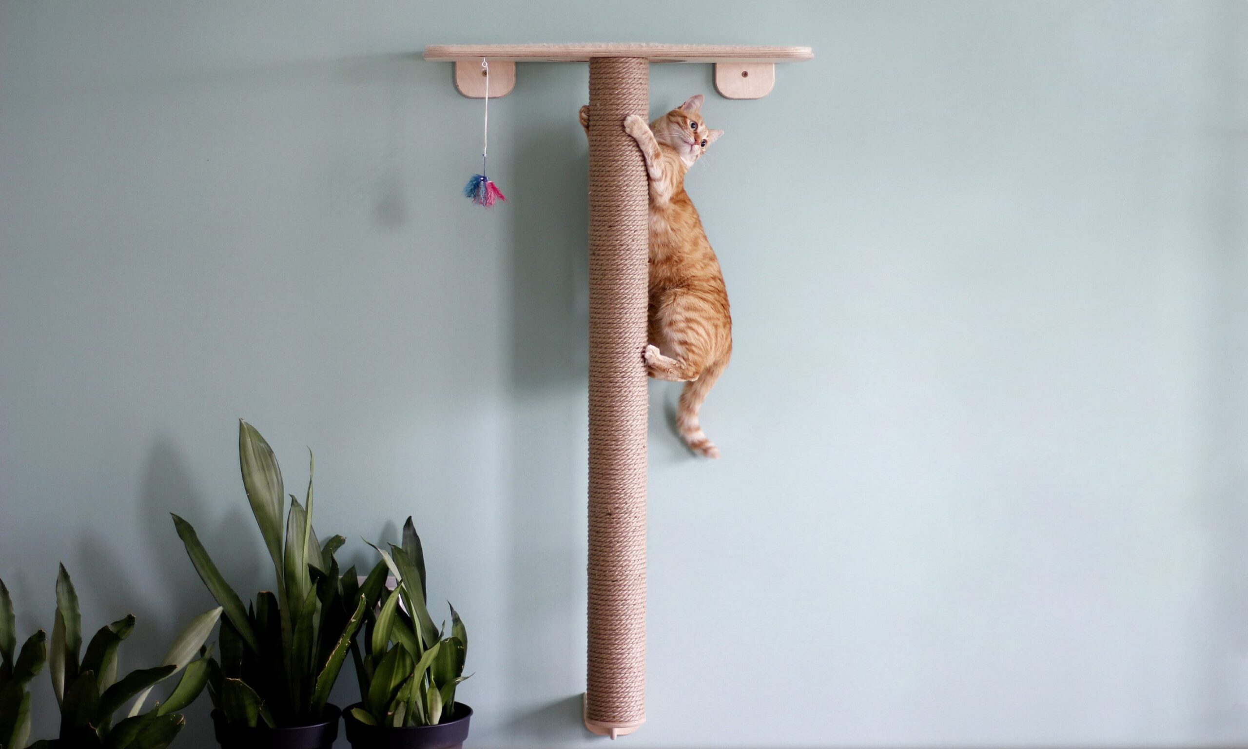 HOM Extra Long Wall mounted round cat scratching & climbing tree4