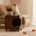 b2616bac-2693-4661-bb34-c82cc2bf92dc