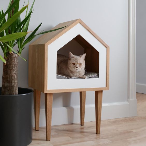 Cat Furniture Maintenance: Cleaning and Extending the Lifespan