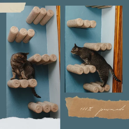HOM Feline Adventure Ascend Cat climbing wall step