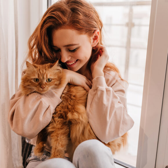 Cat Furniture Essentials: Creating a Purr-fect Haven for Your Feline Friend