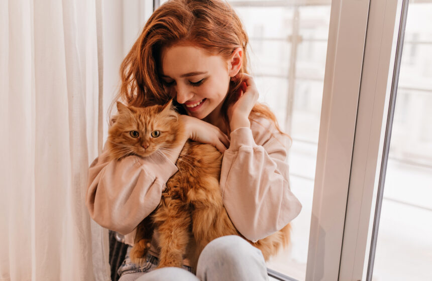 Cat Furniture Essentials: Creating a Purr-fect Haven for Your Feline Friend Cat Furniture Essentials: Creating a Purr-fect Haven for Your Feline Friend