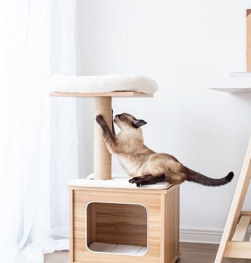 HOM Small Cat tree Condo