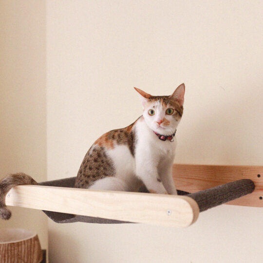 HOM Premium Cat Hammock