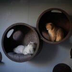 il_340x270.5500269741_kx30