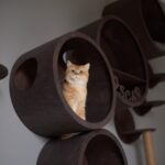 il_fullxfull.4963579003_rcaa