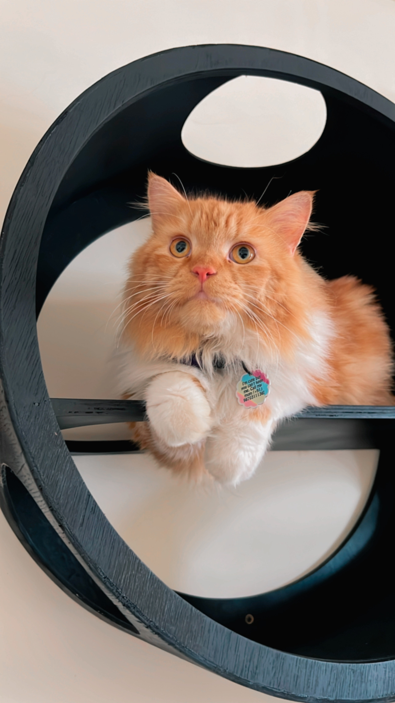 64F5AA4D-D0C6-44A2-BFC4-97DE95623D89