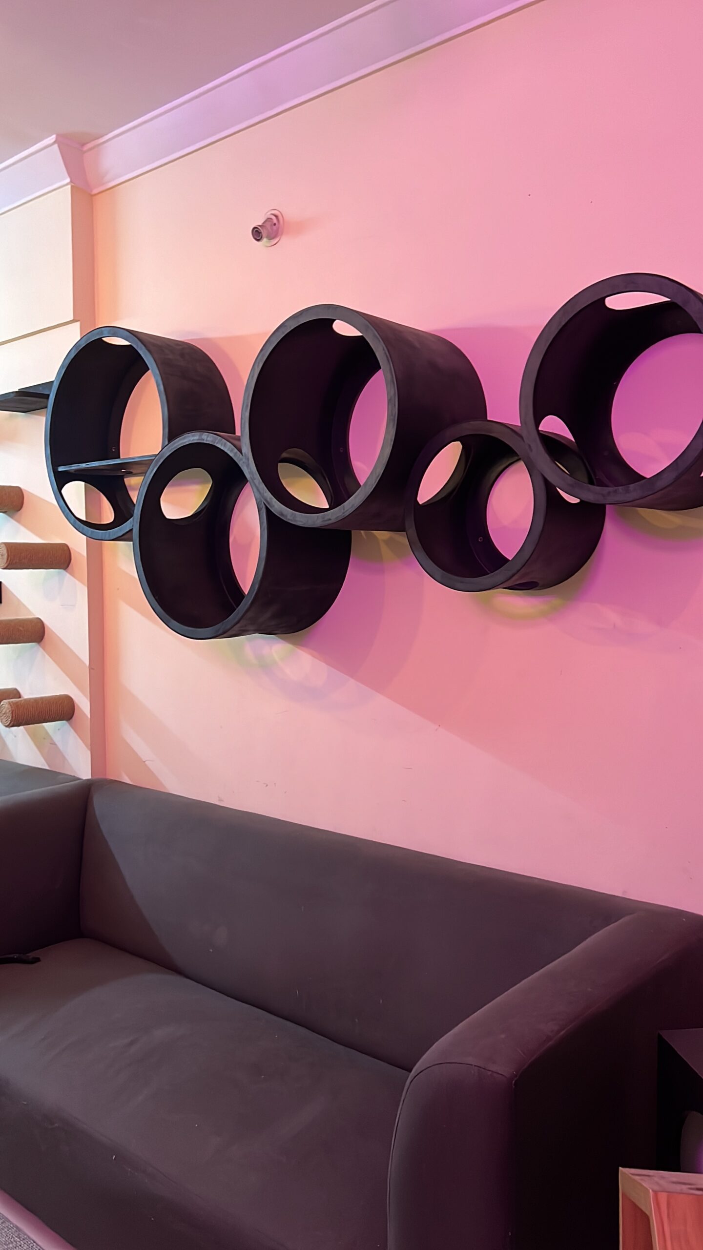 6813EC36-5C16-4352-B86B-5F5BE37E6CA9