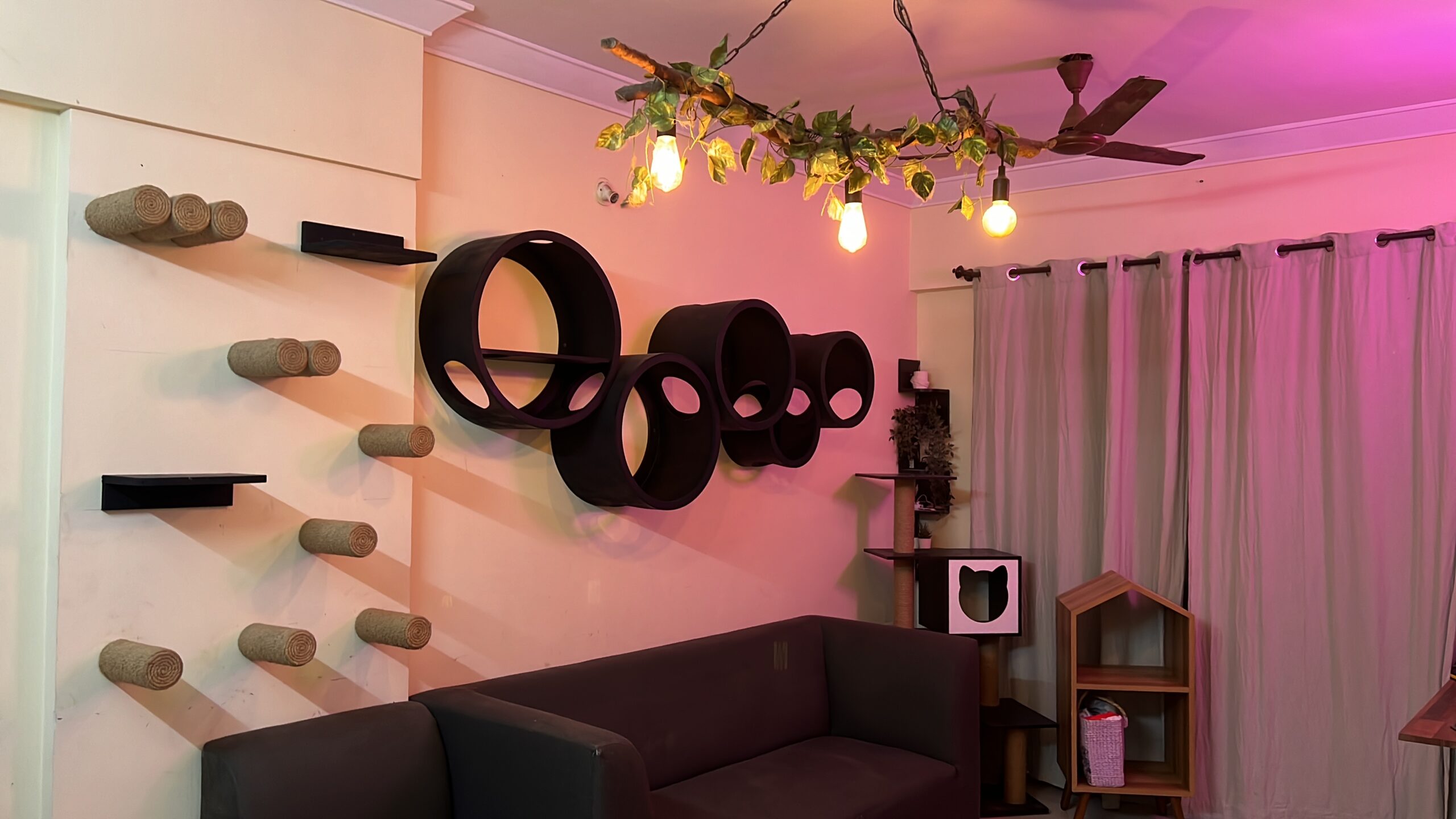 9F0CF568-98DB-466A-8155-FCE7A0F52444