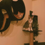 BFE97A5C-A6F6-42B6-A44D-5A4F8E611A69