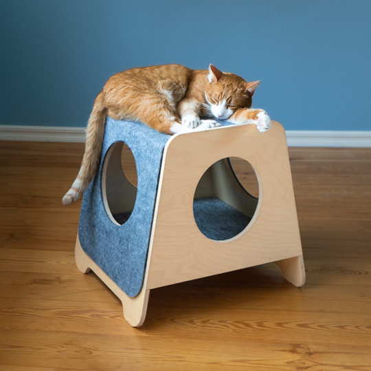 Modern Bed For Cats