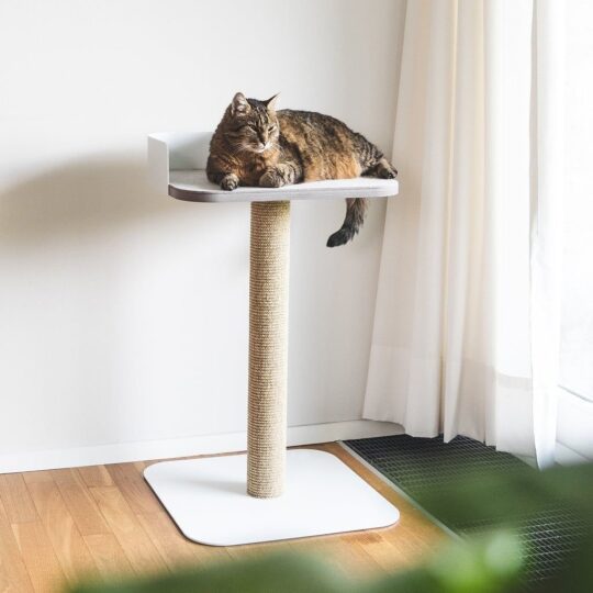 Scratch and lounge cat tree