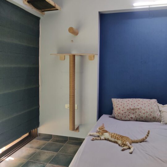 Cat Wall Mount Set – Hammock, Jute Steps & Pole Scratcher | Space-Saving Cat Furniture