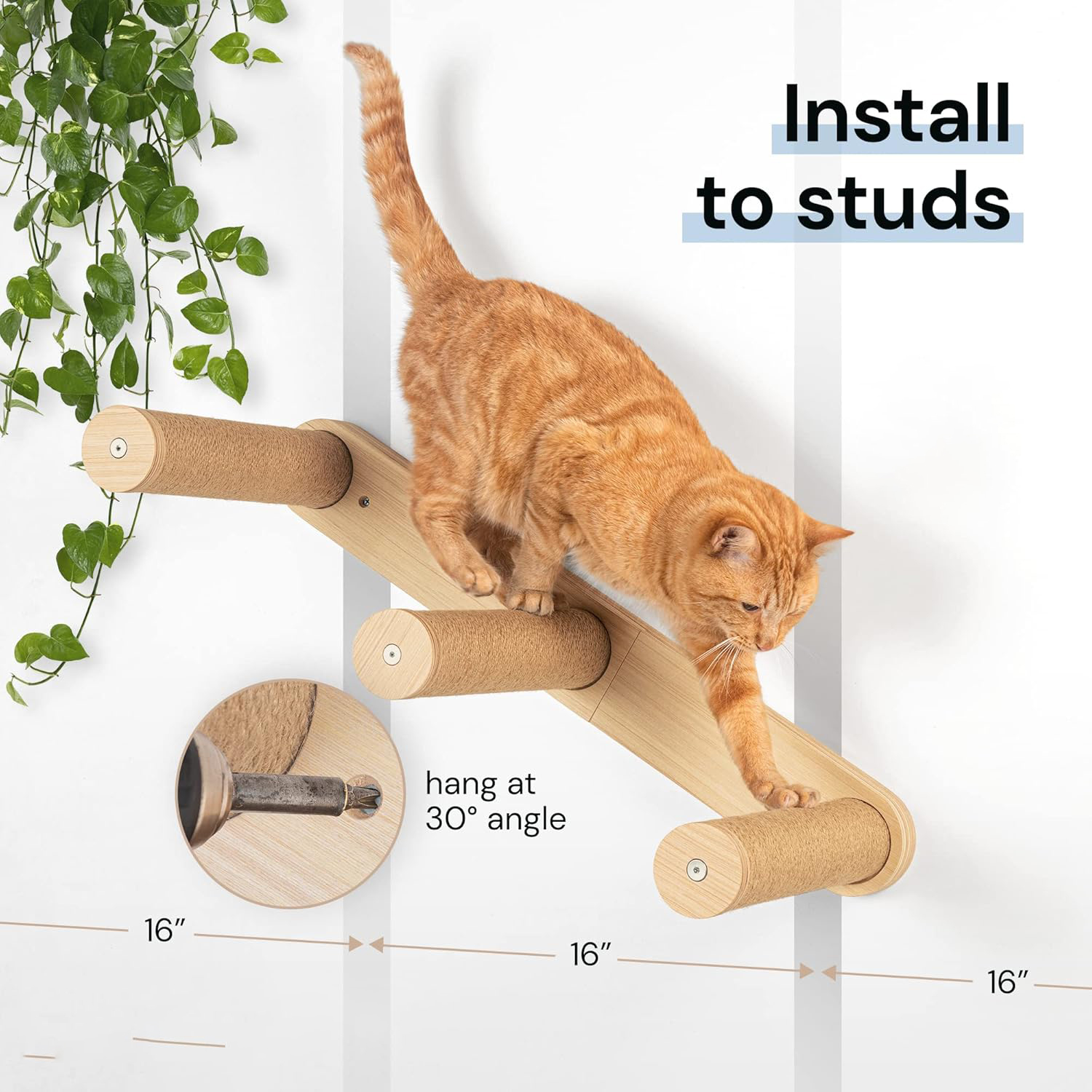 house of meows cat bed cat scracting post cat scratcher