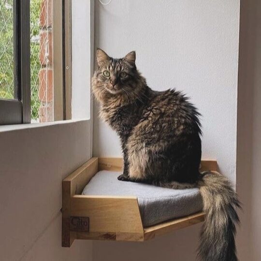 House of Meows Wooden Cat Corner Shelf – Stylish & Space-Saving Cat Perch