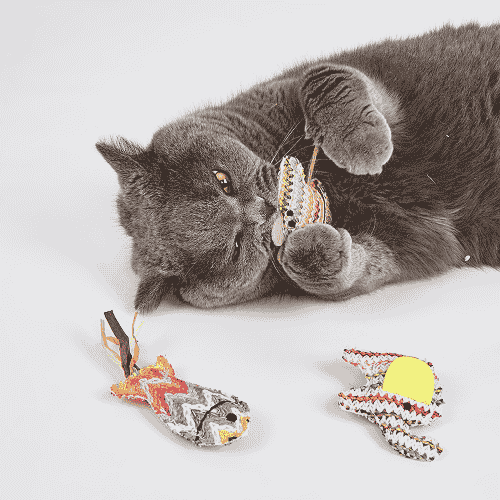 Barkbutler x Fofos Interactive Catnip Chic Toy for Cats
