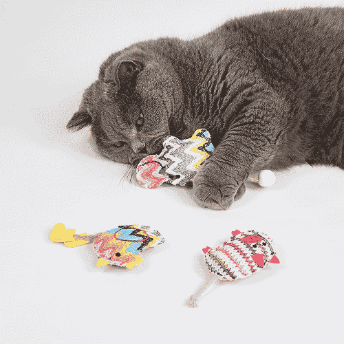 Barkbutler x Fofos Interactive Catnip Chic Toy for Cats