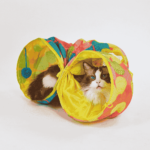 2Z5A24951 Barkbutler x Fofos Floral Pop Up Tunnel Toy for Cats