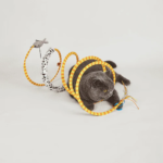 DCF18768_DCF18785_10_1 Barkbutler x Fofos Safari Spiral Tunnel Toy for Cats