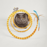 DCF18768_DCF18785_11_1 Barkbutler x Fofos Safari Spiral Tunnel Toy for Cats