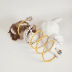 DCF18768_DCF18785_1_1 Barkbutler x Fofos Safari Spiral Tunnel Toy for Cats
