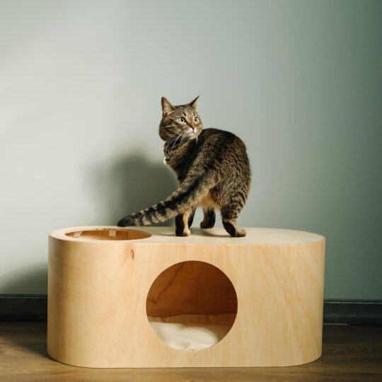 The Wooden Cat Pod – Modern Hideaway for Cats