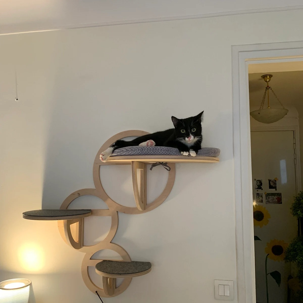 imgi_396_iap_1200x1200.4503971058_c73ibip3